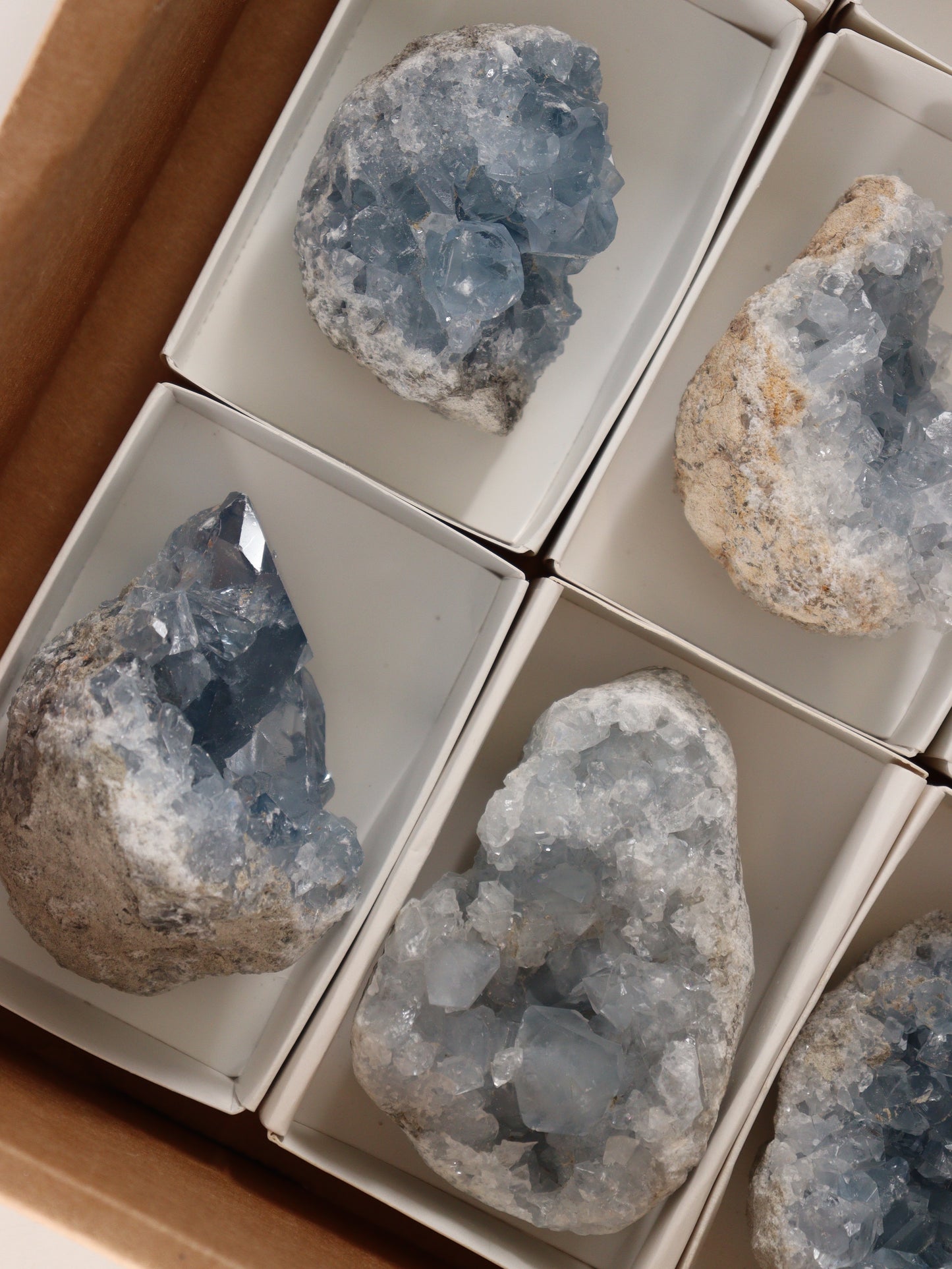 Celestite Clusters Set of 9 - Expert Wholesale and Supplier of Wholesale Crystals & Bulk Gemstones, []