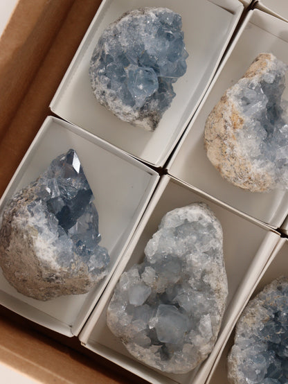 Celestite Clusters Set of 9 - Expert Wholesale and Supplier of Wholesale Crystals & Bulk Gemstones, []
