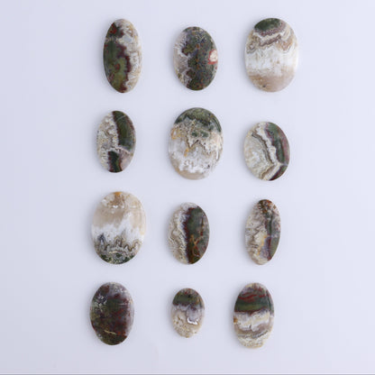 One Moss Agate Oval Cab - Expert Wholesale and Supplier of Wholesale Crystals & Bulk Gemstones, ["Agate","Cabs","Moss Agate","Oval"]