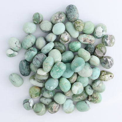 Chrysoprase Tumbles 1 kg Set - Expert Wholesale and Supplier of Wholesale Crystals & Bulk Gemstones, ["Chrysoprase","Indonesia","tumbles"]