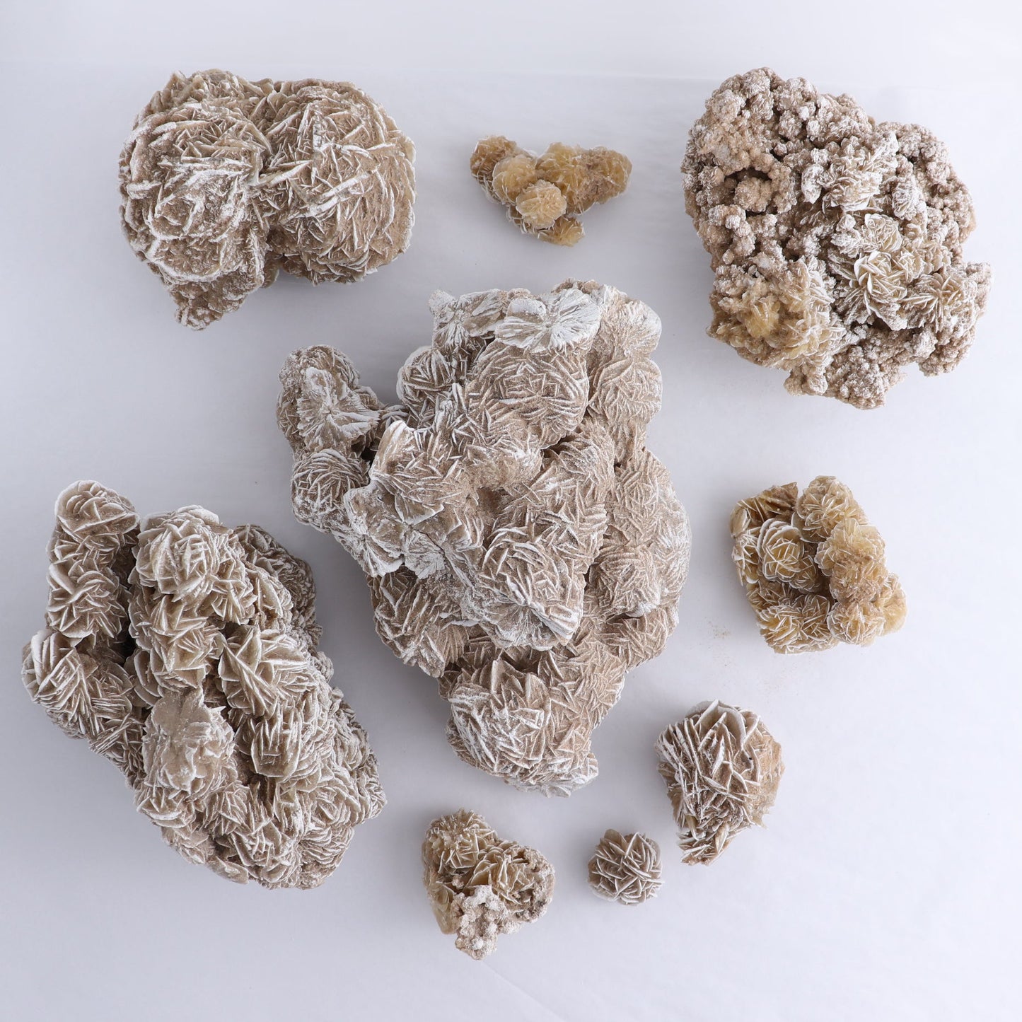Desert Rose Flat