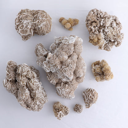 Desert Rose Flat