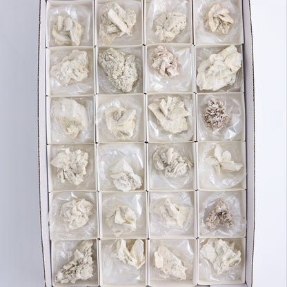 Gypsum ps. Glauberite from Camp Verde Set of 24 - Expert Wholesale and Supplier of Wholesale Crystals & Bulk Gemstones, ["Arizona","Glauberite","Gypsum","Gypsum ps Glauberite","United States"]