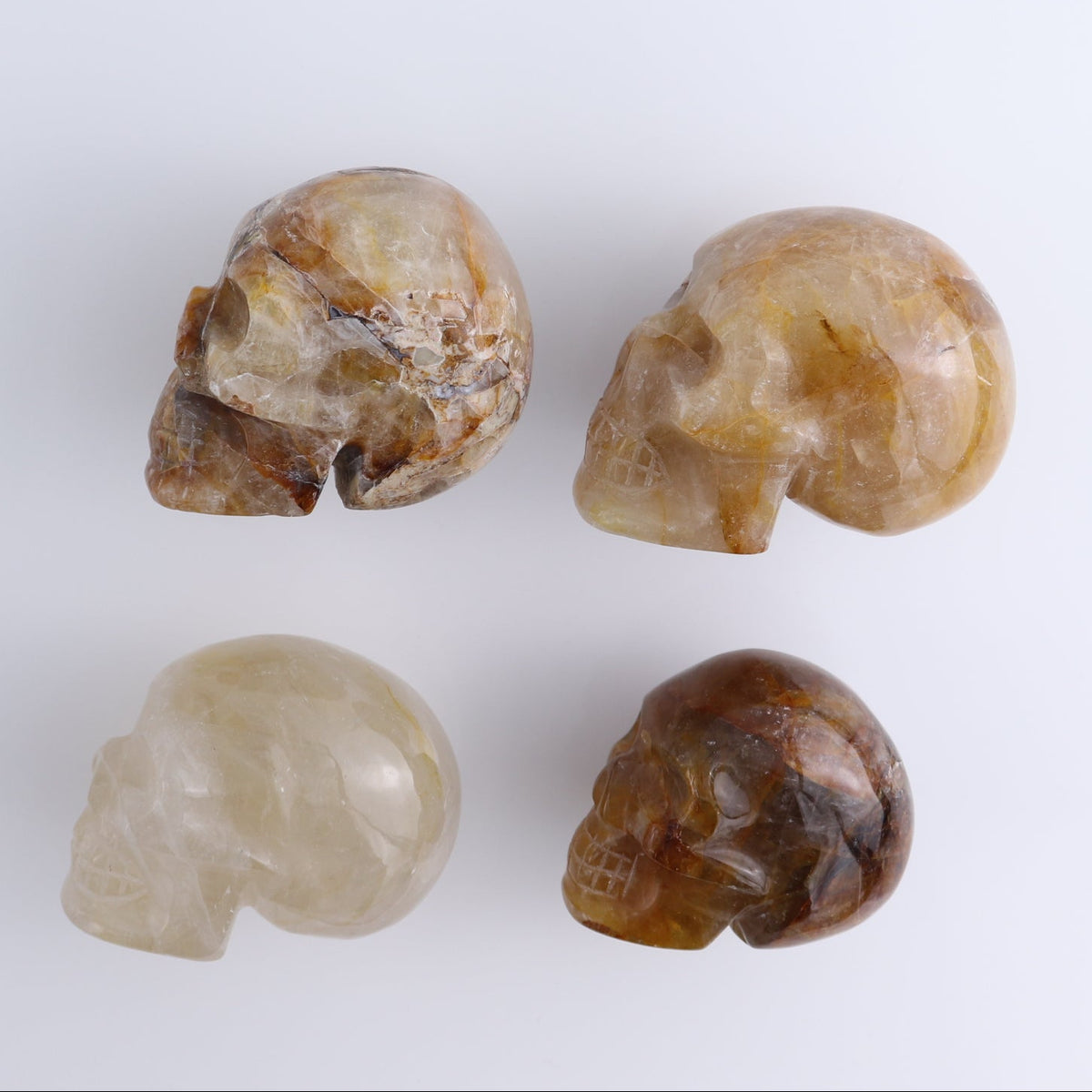 Golden Healer Skulls Set of 4