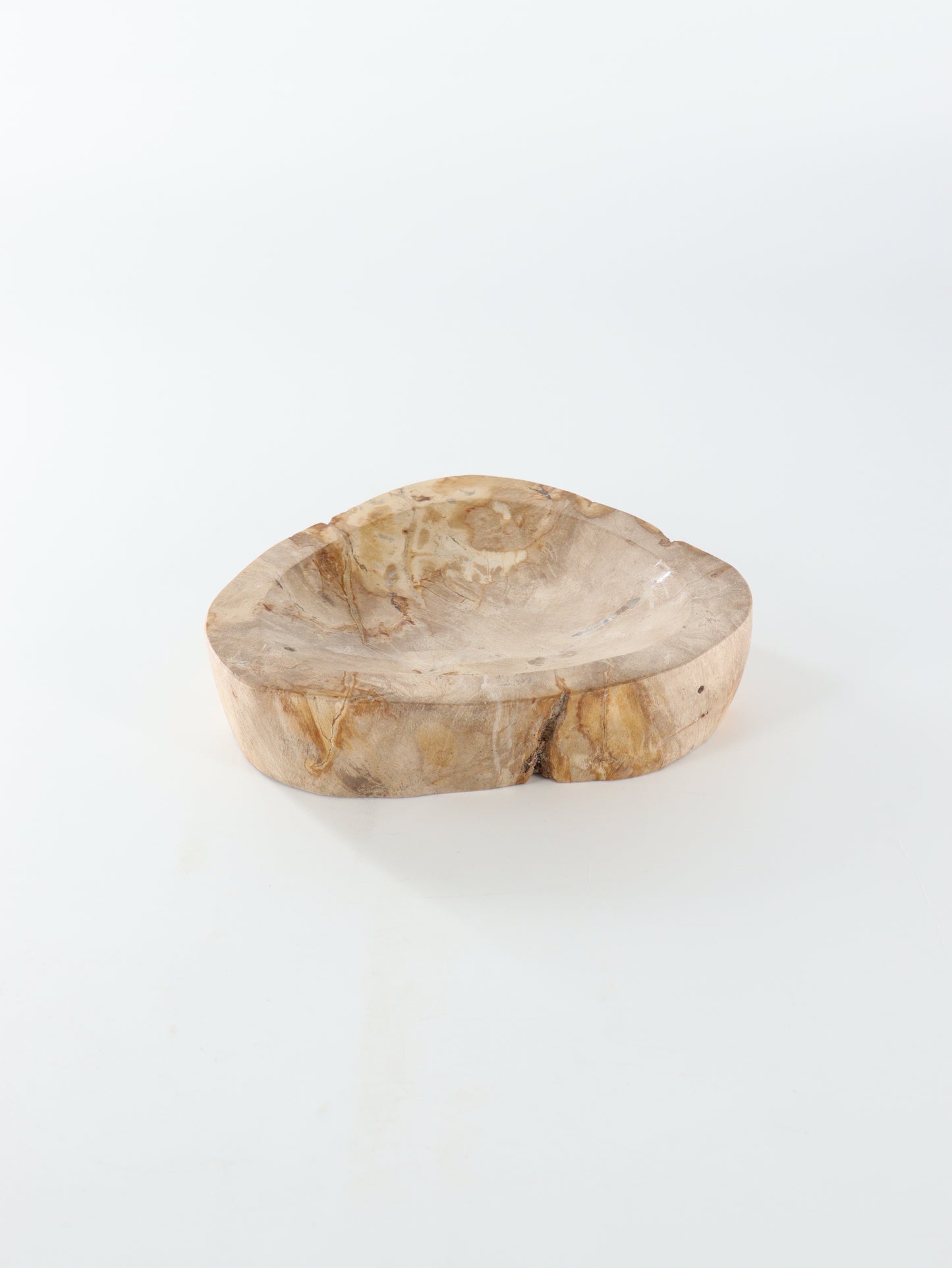 Petrified Wood Bowl - Expert Wholesale and Supplier of Wholesale Crystals & Bulk Gemstones, []