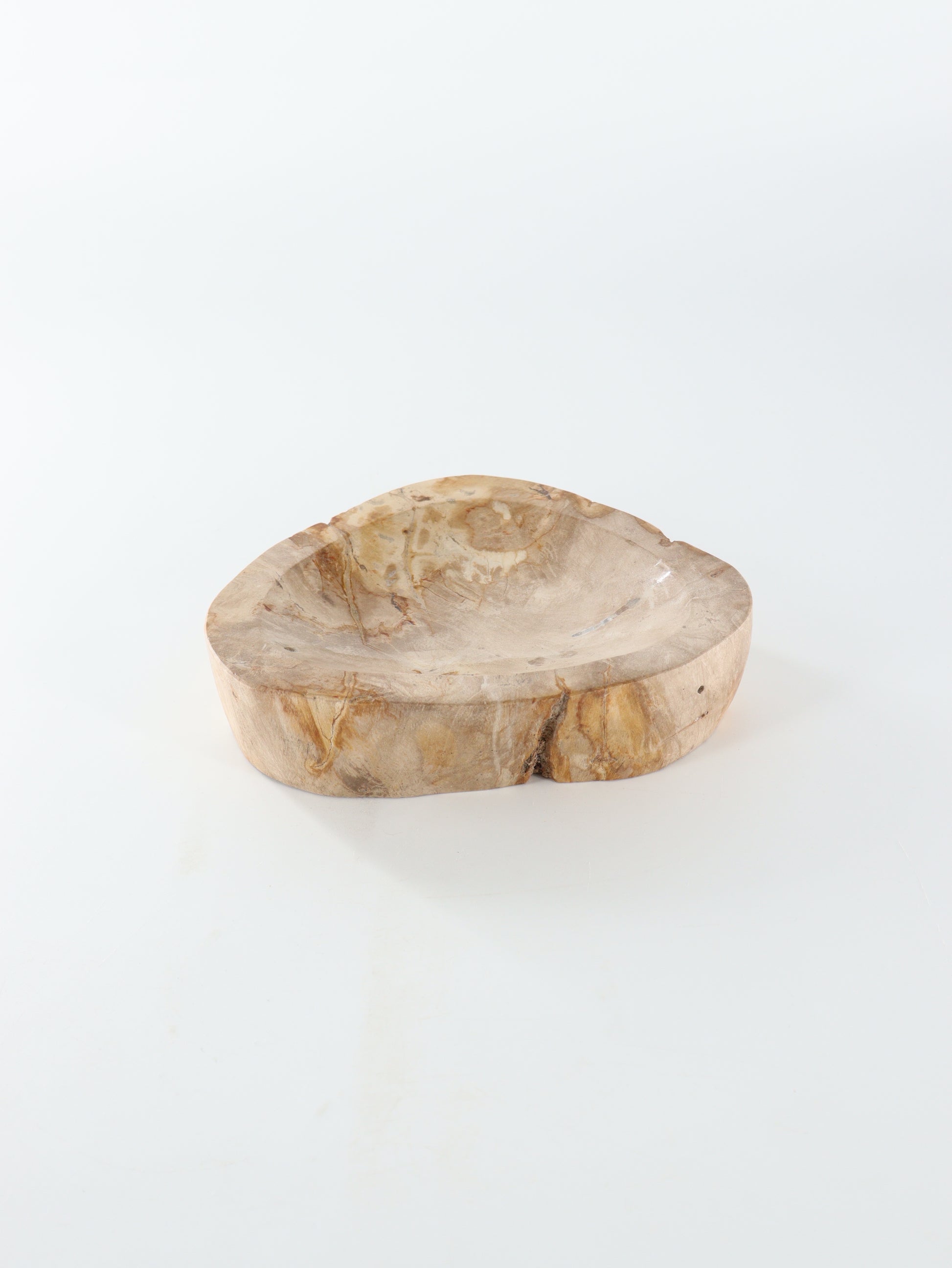 Petrified Wood Bowl - Expert Wholesale and Supplier of Wholesale Crystals & Bulk Gemstones, []