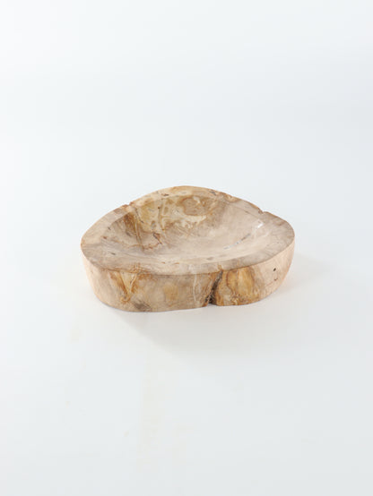 Petrified Wood Bowl - Expert Wholesale and Supplier of Wholesale Crystals & Bulk Gemstones, []