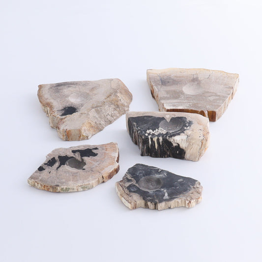 Petrified Wood Sphere Holders Set of 5 - Expert Wholesale and Supplier of Wholesale Crystals & Bulk Gemstones, ["Petrified Wood","sphere holder"]