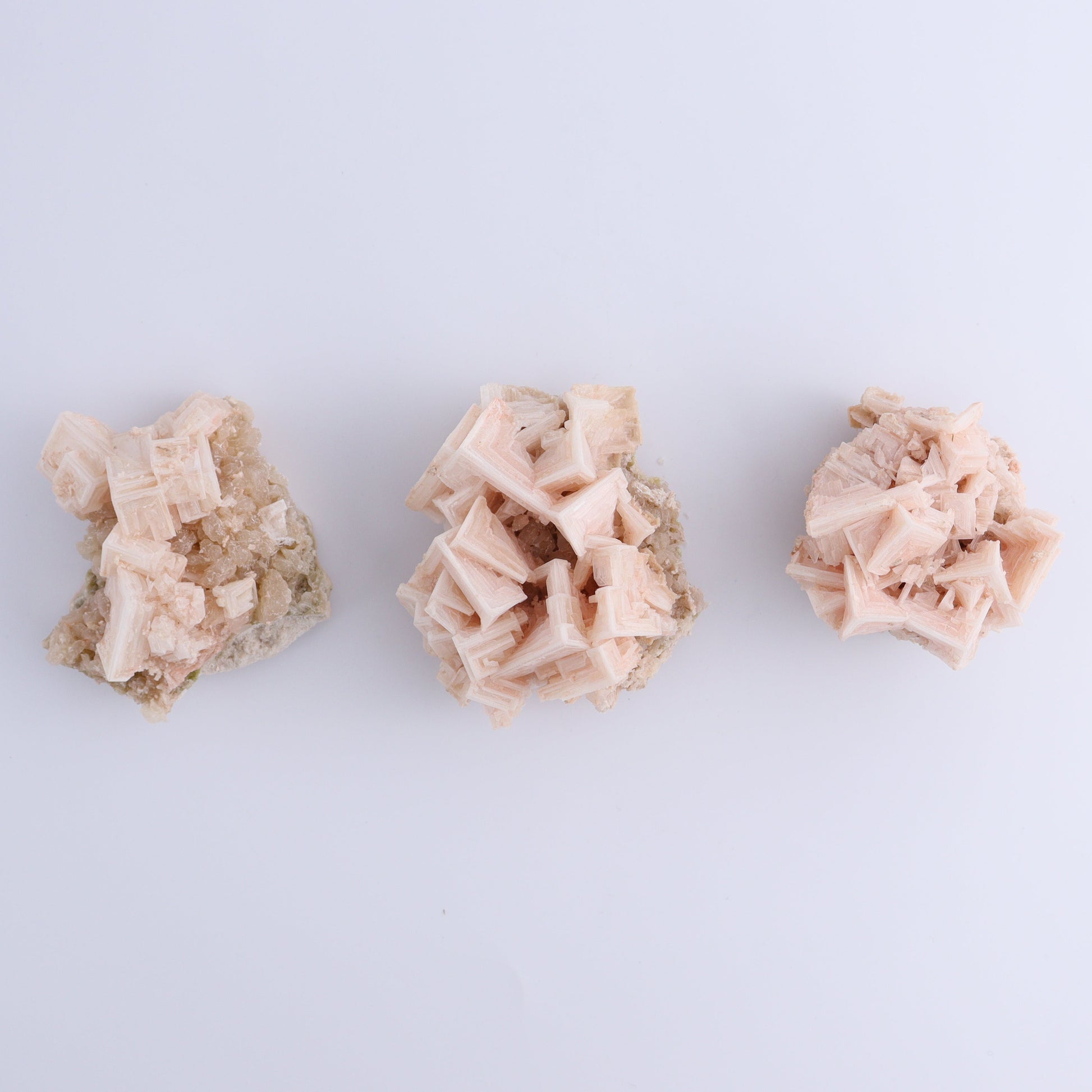Halite on Trona from Owens Lake Set of 12 - Expert Wholesale and Supplier of Wholesale Crystals & Bulk Gemstones, ["California","Flats","Halite","halite on trona","Pink Halite","United States"]