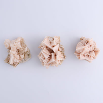 Halite on Trona from Owens Lake Set of 12 - Expert Wholesale and Supplier of Wholesale Crystals & Bulk Gemstones, ["California","Flats","Halite","halite on trona","Pink Halite","United States"]