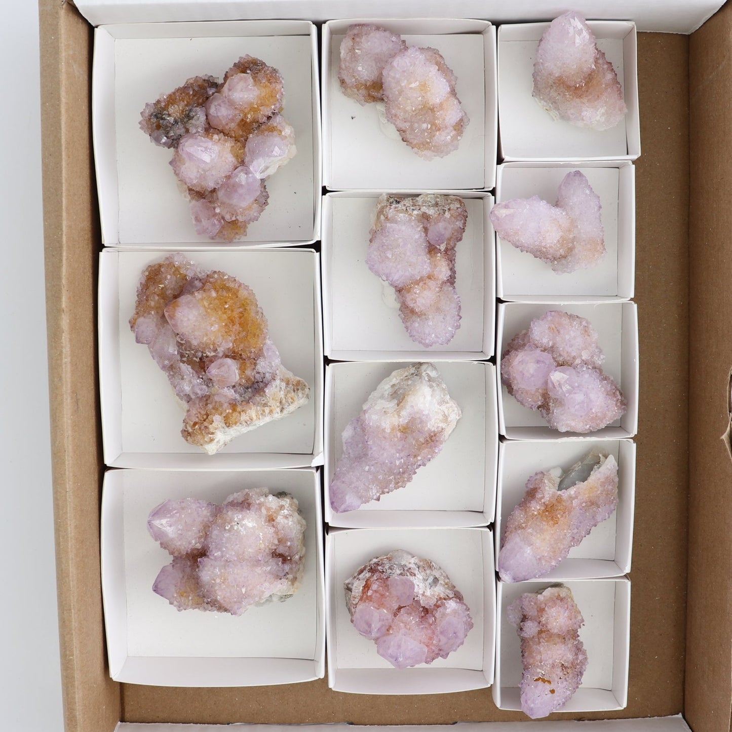 Cactus Quartz Set of 12