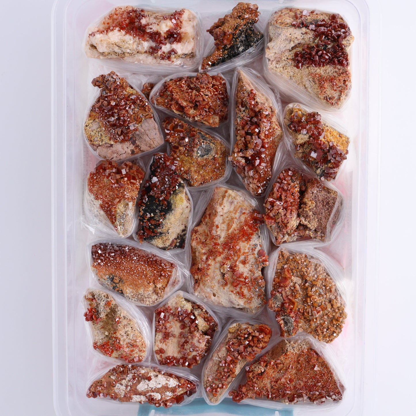 Vanadinite on Barite Flat from Morocco - Expert Wholesale and Supplier of Wholesale Crystals & Bulk Gemstones, ["Barite","Flats","Morocco","Vanadinite","Vanadinite Barite"]