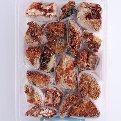 Vanadinite on Barite Flat from Morocco - Expert Wholesale and Supplier of Wholesale Crystals & Bulk Gemstones, ["Barite","Flats","Morocco","Vanadinite","Vanadinite Barite"]