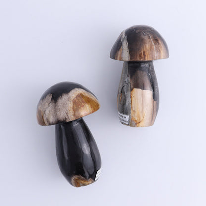 Petrified Wood Mushrooms Set of 4 - Expert Wholesale and Supplier of Wholesale Crystals & Bulk Gemstones, ["Indonesia","Mushrooms","Petrified Wood"]