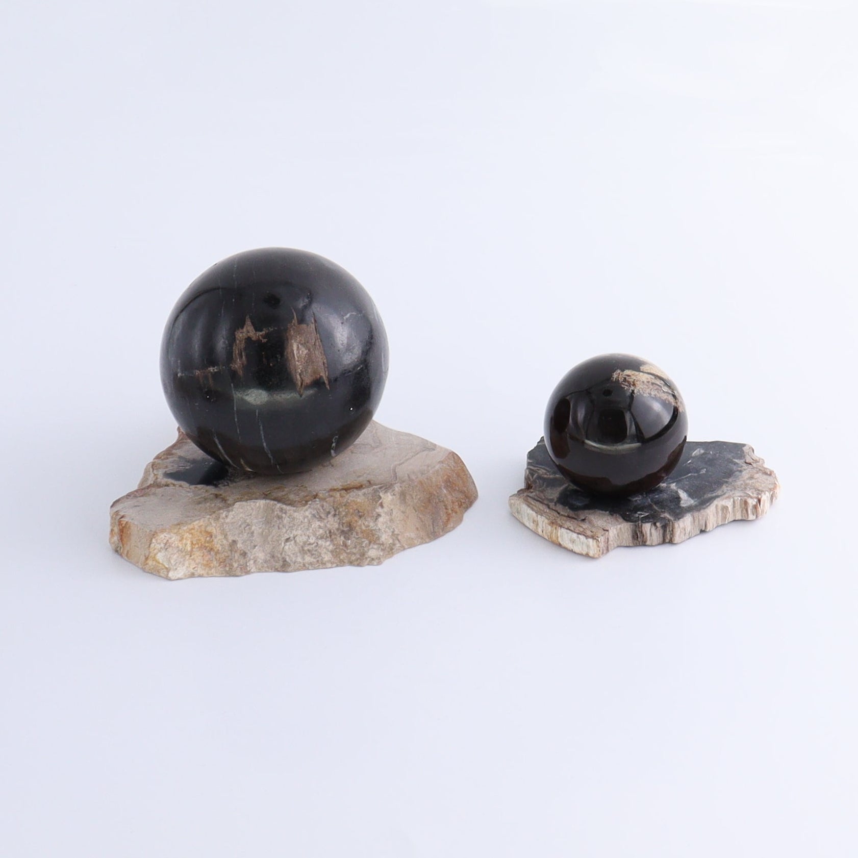 Petrified Wood Sphere Holders Set of 5 - Expert Wholesale and Supplier of Wholesale Crystals & Bulk Gemstones, ["Petrified Wood","sphere holder"]