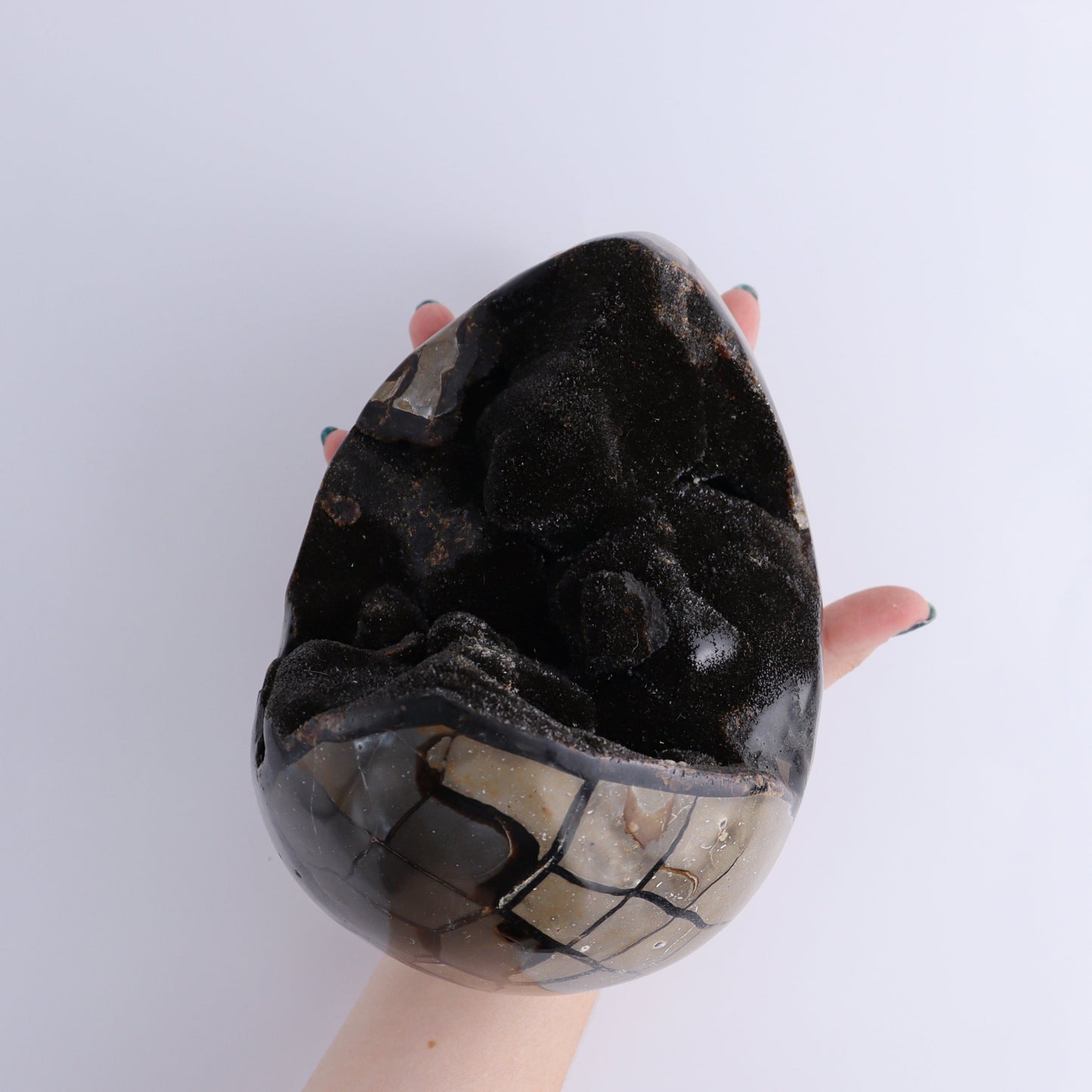 Septarian Egg - Expert Wholesale and Supplier of Wholesale Crystals & Bulk Gemstones, ["Eggs","Septarian"]