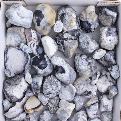 Denditic Agate Freeforms Flat - Expert Wholesale and Supplier of Wholesale Crystals & Bulk Gemstones, ["close_70","Denditic Agate","Freeform","Freeforms"]