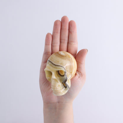 Onyx Skulls Set of 4 - Expert Wholesale and Supplier of Wholesale Crystals & Bulk Gemstones, ["Mexico","onyx","Skulls"]