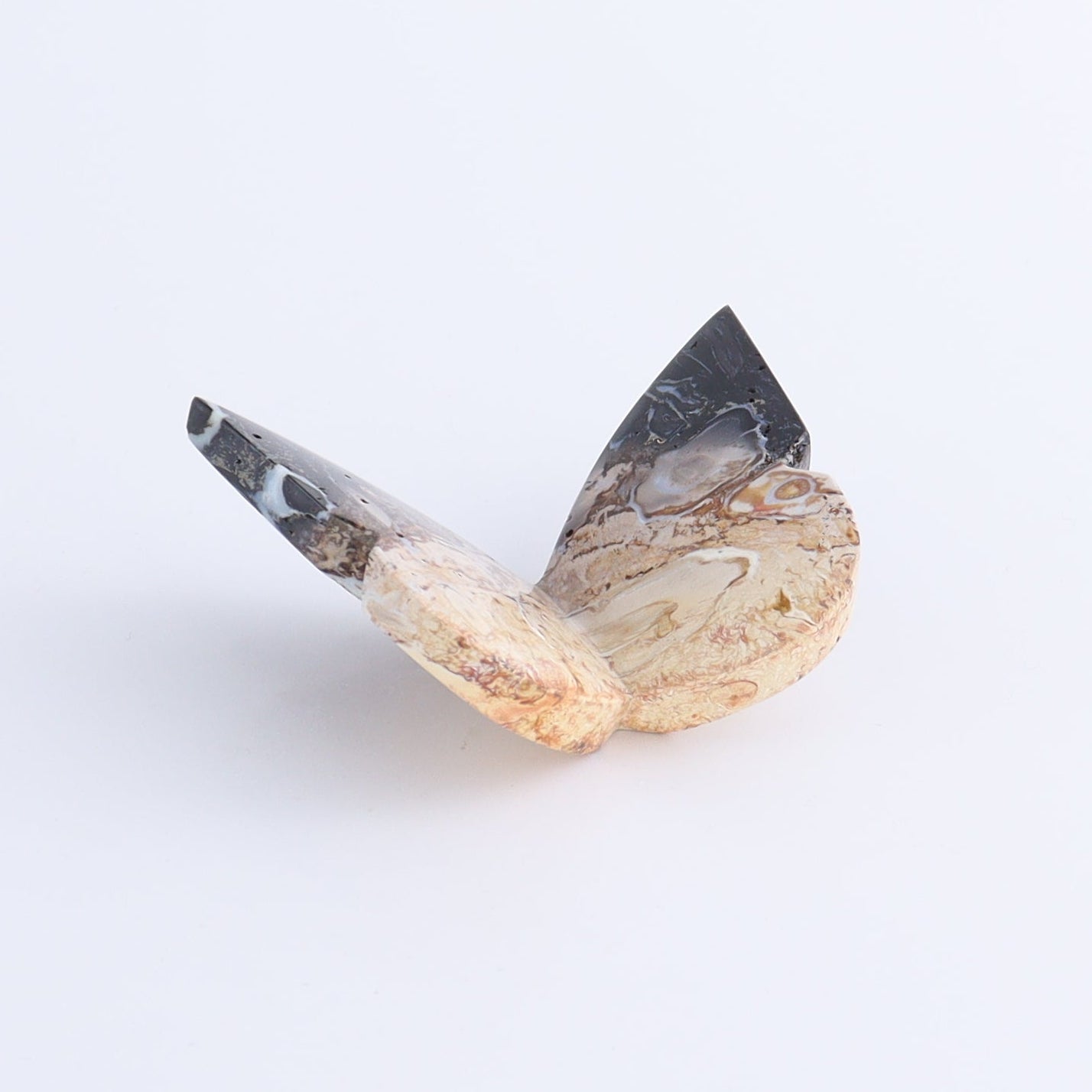 One Palm Root Agate Butterfly - Expert Wholesale and Supplier of Wholesale Crystals & Bulk Gemstones, ["Agate","Butterflies","Butterfly","Palm Root"]