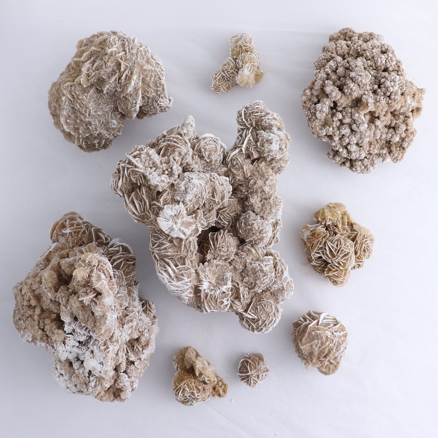 Desert Rose Flat