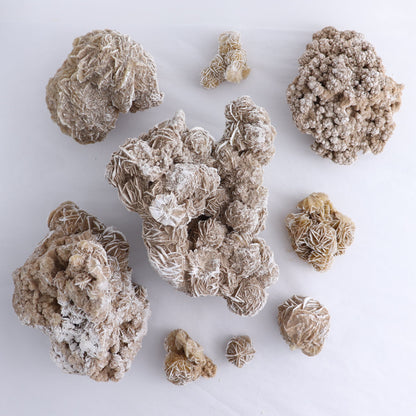 Desert Rose Flat