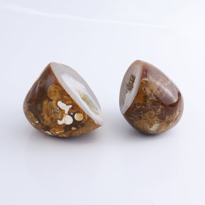 Carnelian Geodes Set of 2 - Expert Wholesale and Supplier of Wholesale Crystals & Bulk Gemstones, ["carnelian","Geodes","Madagascar"]