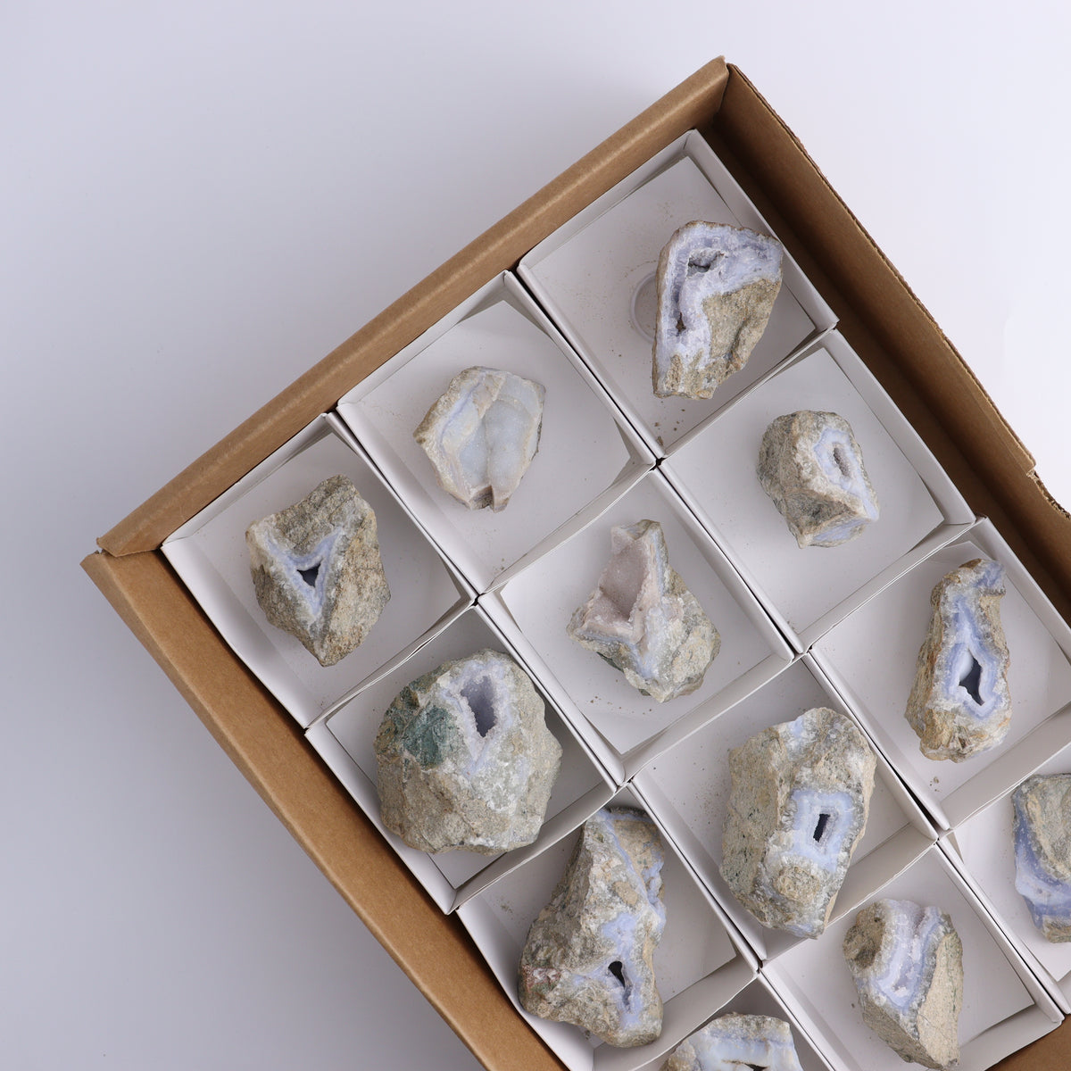 Blue Lace Agate Freeforms Set of 12 - wholesale crystals