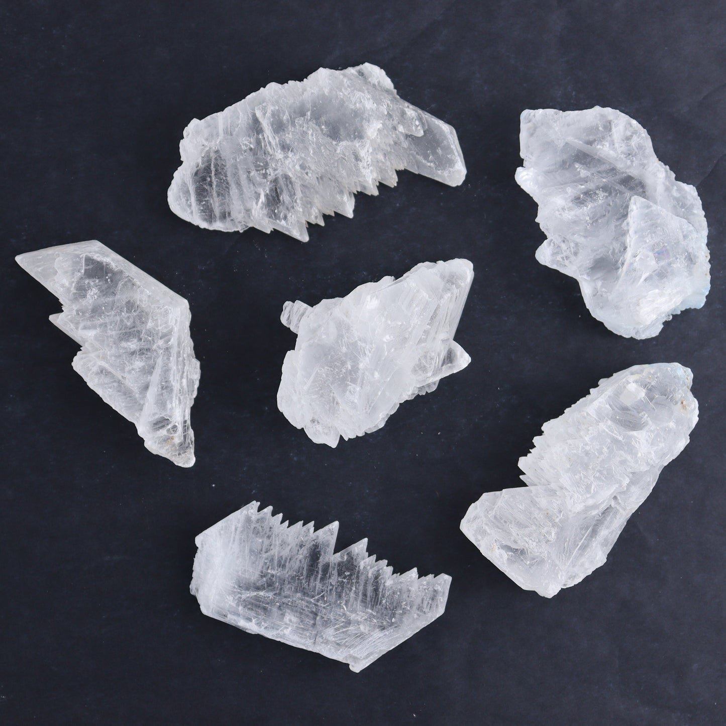 Selenite Set of 12 - Expert Wholesale and Supplier of Wholesale Crystals & Bulk Gemstones, ["Rough","selenite"]