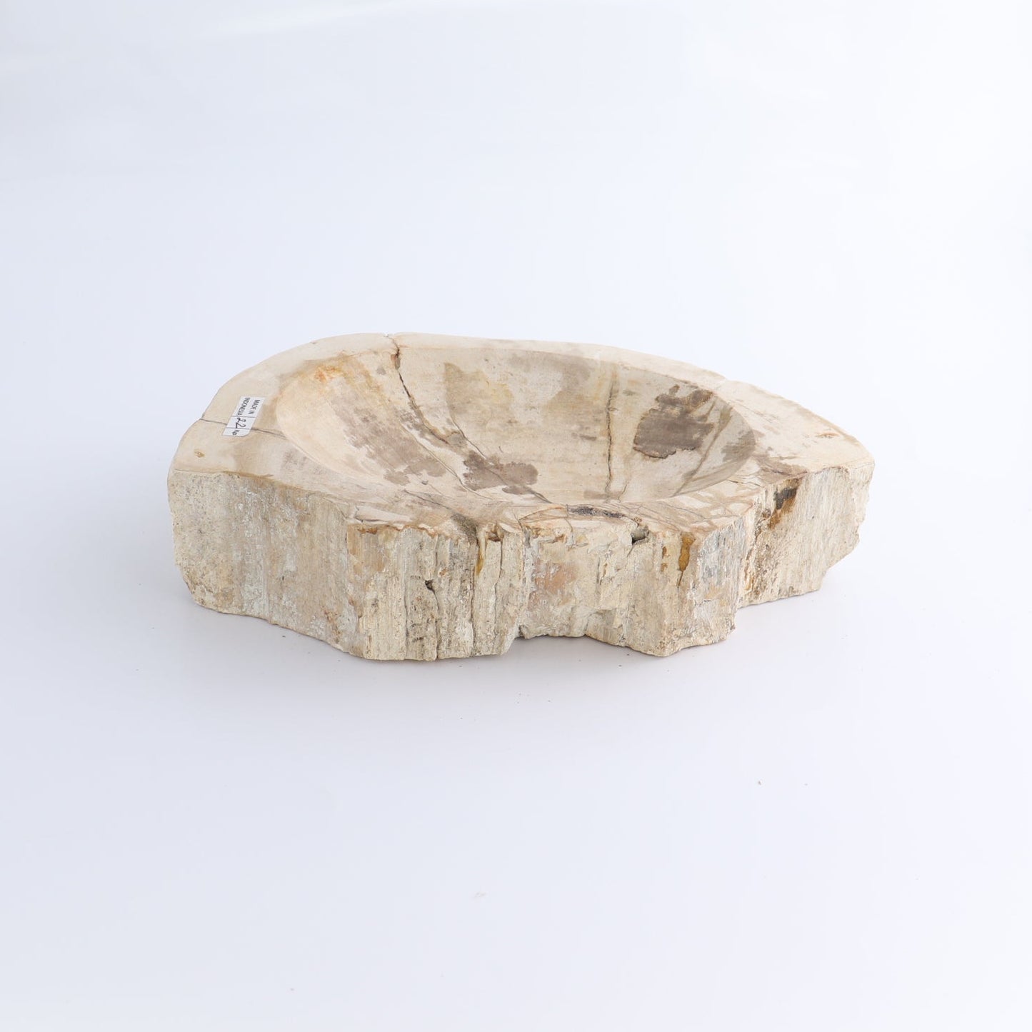 One Petrified Wood Beige Rough Bowl