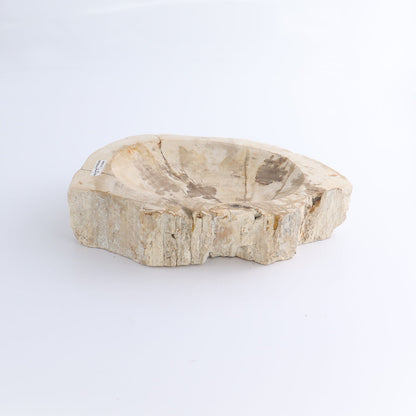 One Petrified Wood Beige Rough Bowl