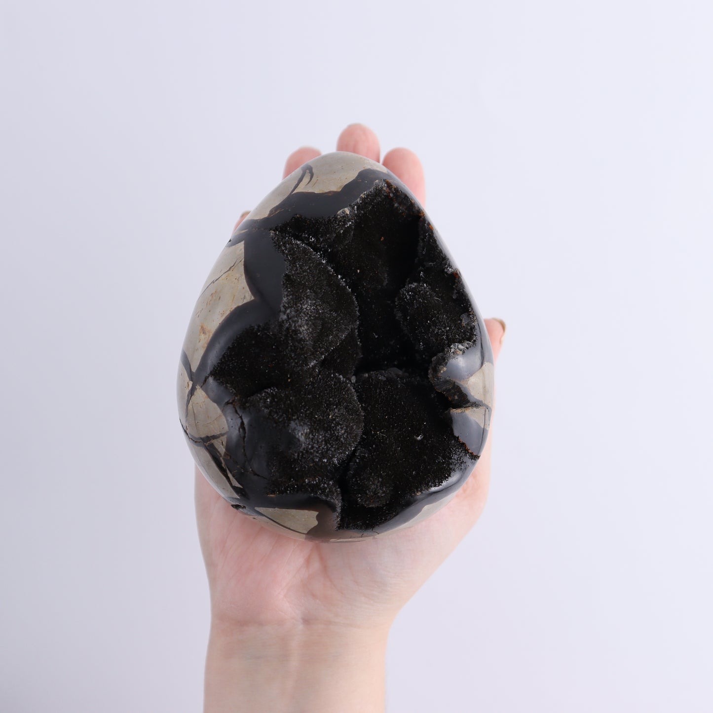 Septarian Eggs Set of 3 - Expert Wholesale and Supplier of Wholesale Crystals & Bulk Gemstones, ["Eggs","Septarian"]