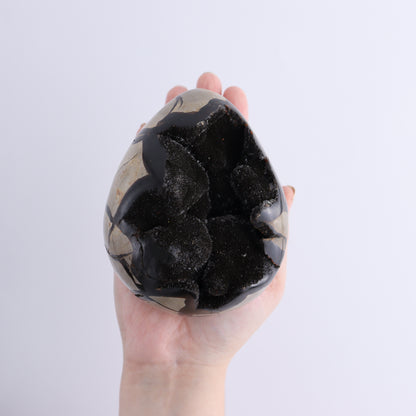 Septarian Eggs Set of 3 - Expert Wholesale and Supplier of Wholesale Crystals & Bulk Gemstones, ["Eggs","Septarian"]