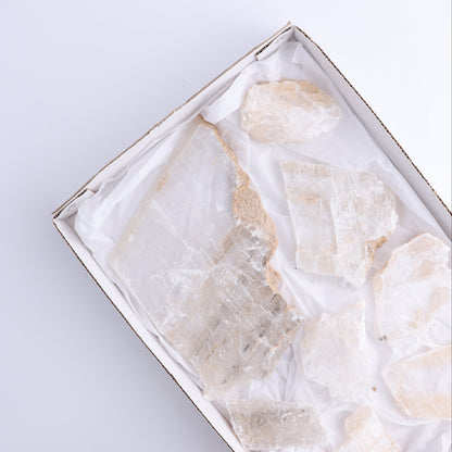 Selenite Slices Set of 8 - Expert Wholesale and Supplier of Wholesale Crystals & Bulk Gemstones, ["selenite","Slices and Slabs"]