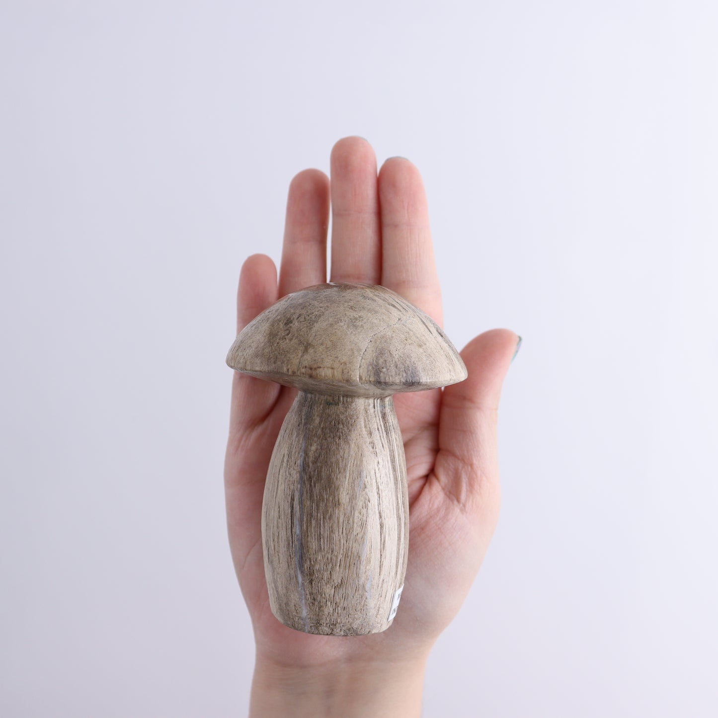 Petrified Wood Mushrooms Set of 4 - Expert Wholesale and Supplier of Wholesale Crystals & Bulk Gemstones, ["Indonesia","Mushrooms","Petrified Wood"]