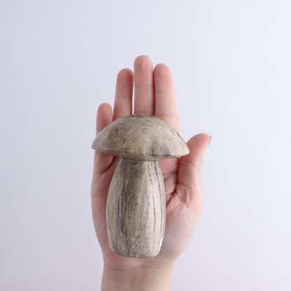 Petrified Wood Mushrooms Set of 4 - Expert Wholesale and Supplier of Wholesale Crystals & Bulk Gemstones, ["Indonesia","Mushrooms","Petrified Wood"]