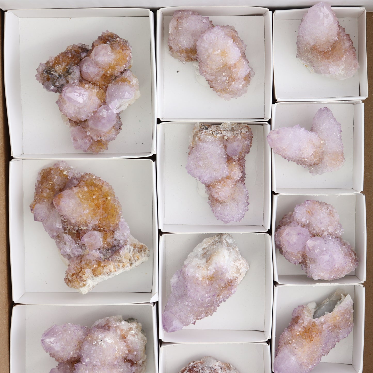Cactus Quartz Set of 12