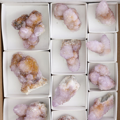 Cactus Quartz Set of 12