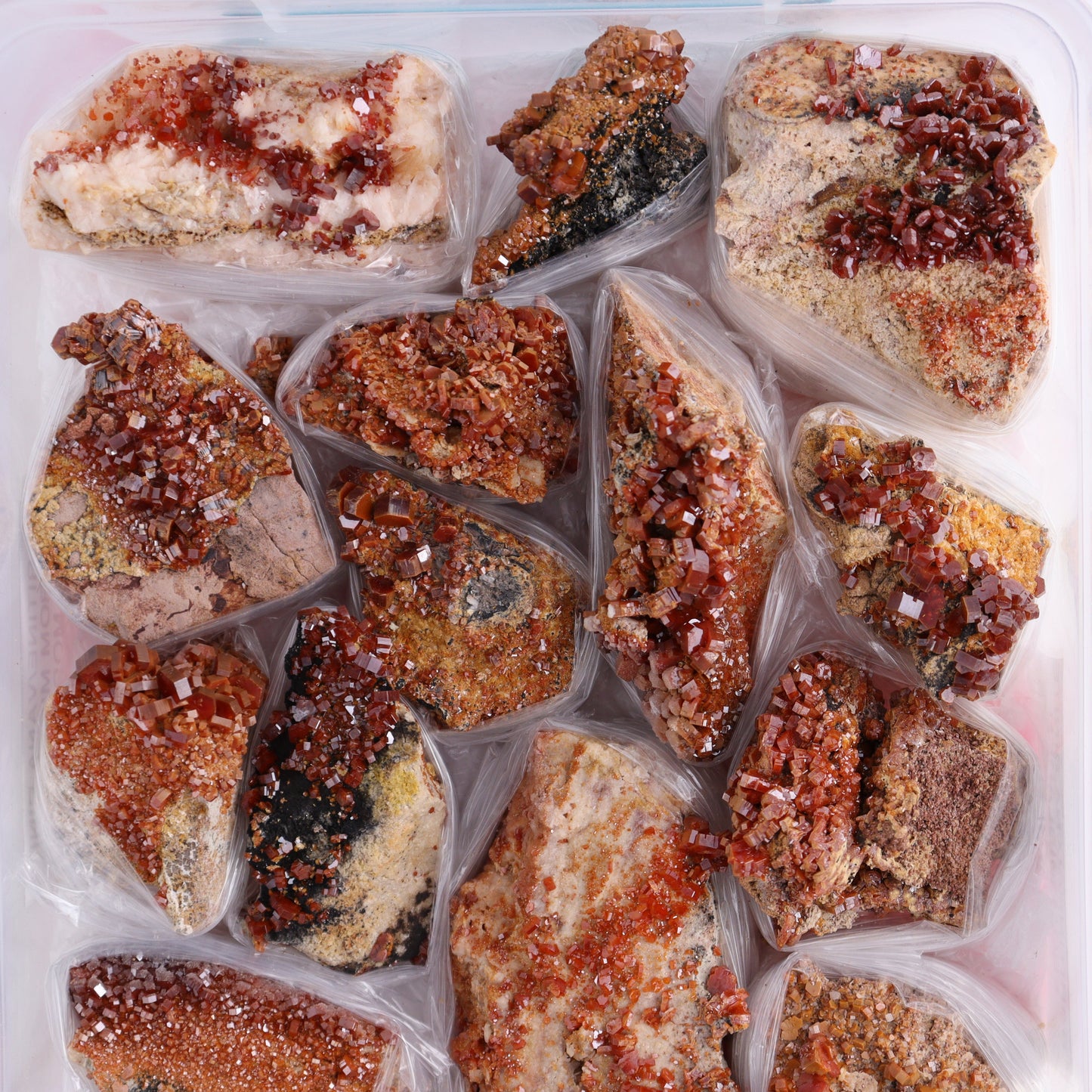 Vanadinite on Barite Flat from Morocco - Expert Wholesale and Supplier of Wholesale Crystals & Bulk Gemstones, ["Barite","Flats","Morocco","Vanadinite","Vanadinite Barite"]