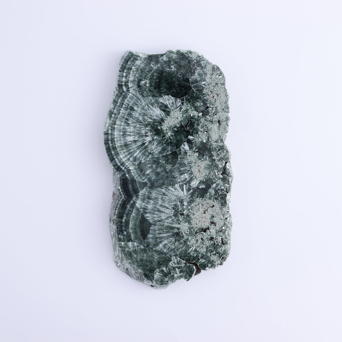 Seraphinite Slices Set of 3 - Expert Wholesale and Supplier of Wholesale Crystals & Bulk Gemstones, ["Russia","Seraphinite","Slices and Slabs"]