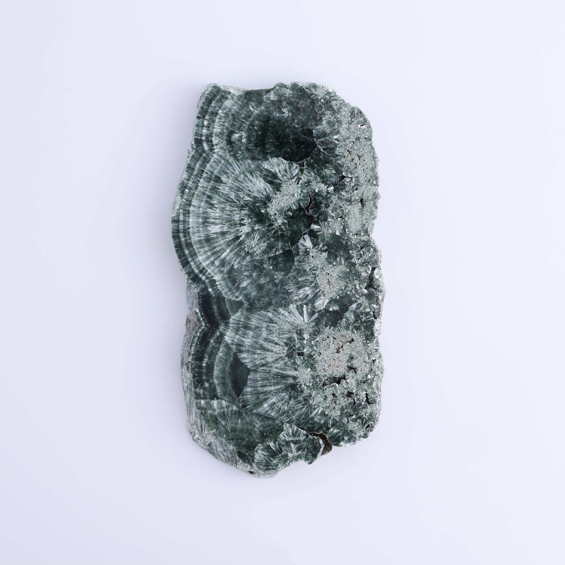 Seraphinite Slices Set of 3 - Expert Wholesale and Supplier of Wholesale Crystals & Bulk Gemstones, ["Russia","Seraphinite","Slices and Slabs"]