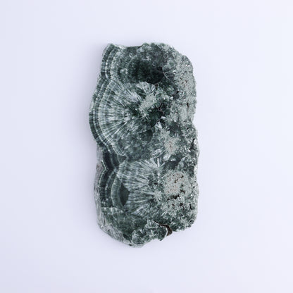 Seraphinite Slices Set of 3 - Expert Wholesale and Supplier of Wholesale Crystals & Bulk Gemstones, ["Russia","Seraphinite","Slices and Slabs"]