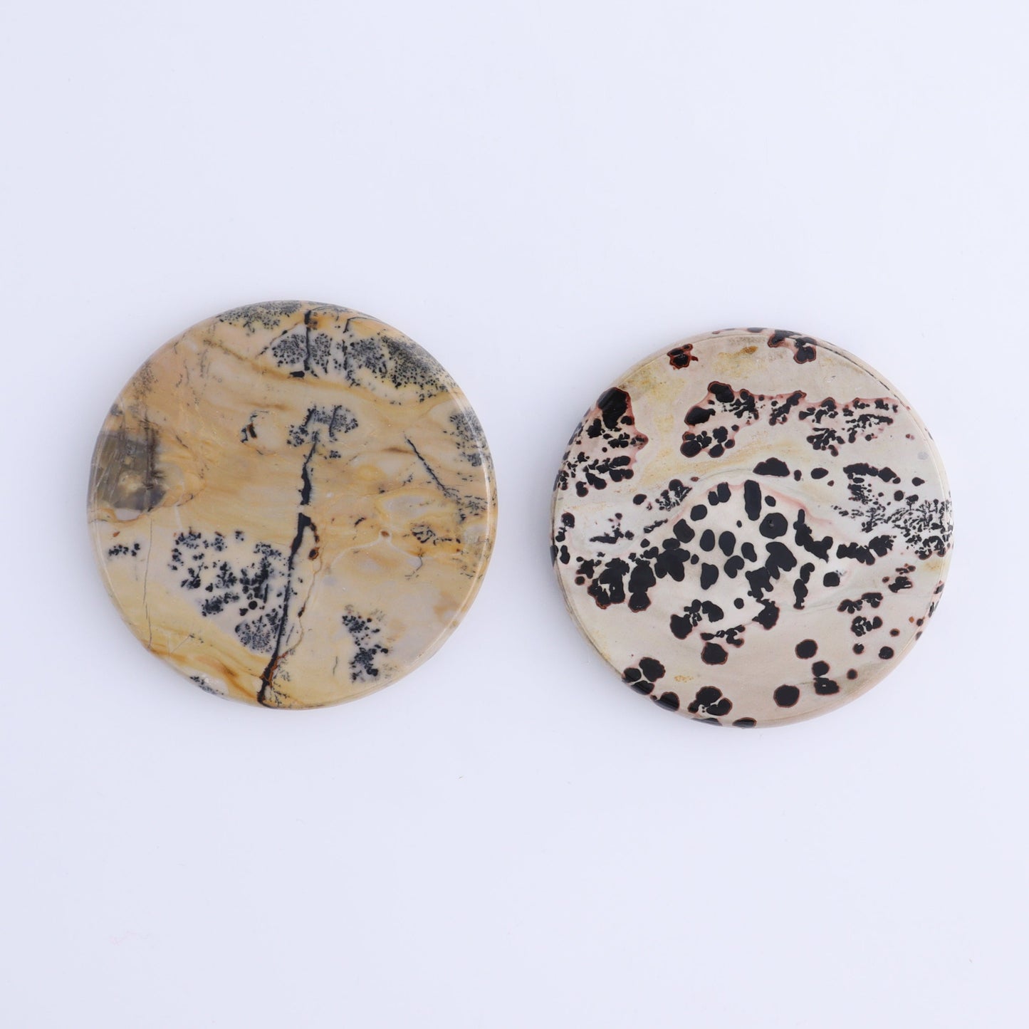 Picture Jasper Discs Set of 10