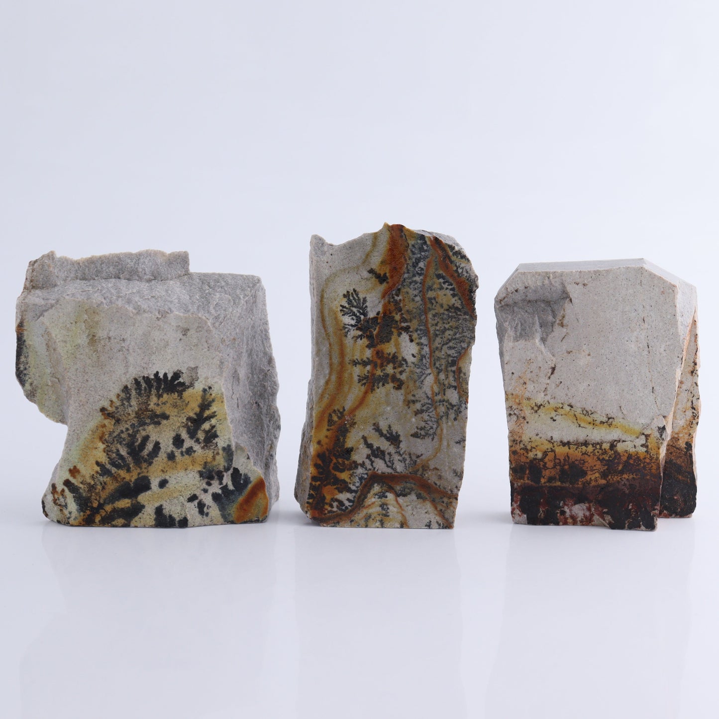 Dendrites Flat Set of 5 - Expert Wholesale and Supplier of Wholesale Crystals & Bulk Gemstones, ["Dendrite","Flats"]