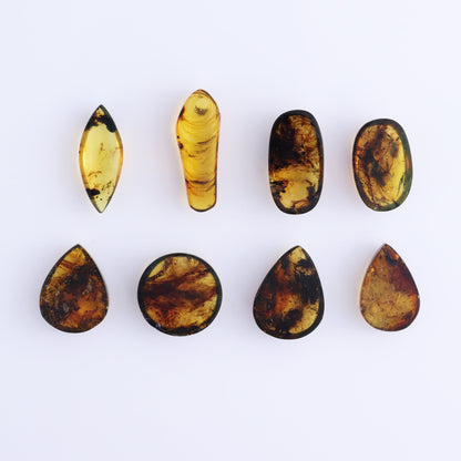 Chiapas Mexico Amber Cabs Set of 8 - Expert Wholesale and Supplier of Wholesale Crystals & Bulk Gemstones, ["Amber","Cabs","Chiapas Amber","Mexico"]