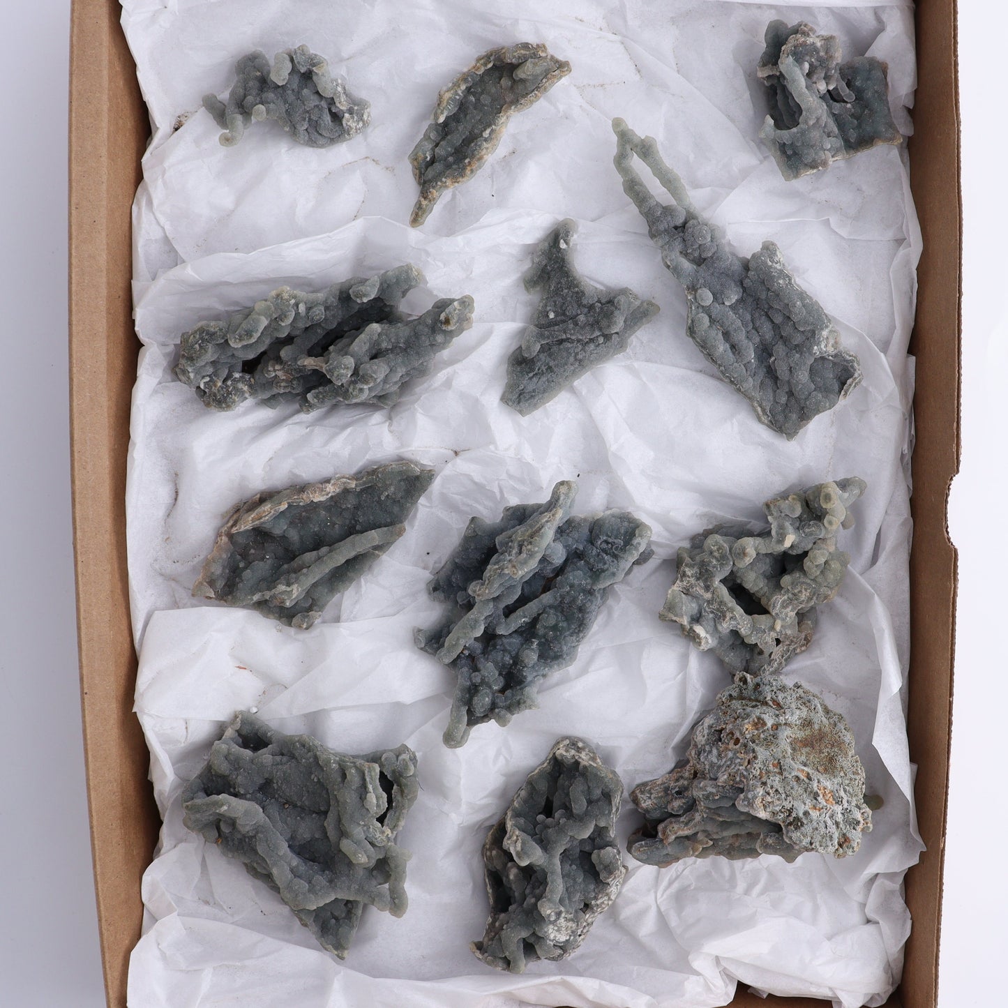 Chalcedony Flat of 12 - Expert Wholesale and Supplier of Wholesale Crystals & Bulk Gemstones, ["Chalcedony","Flats"]