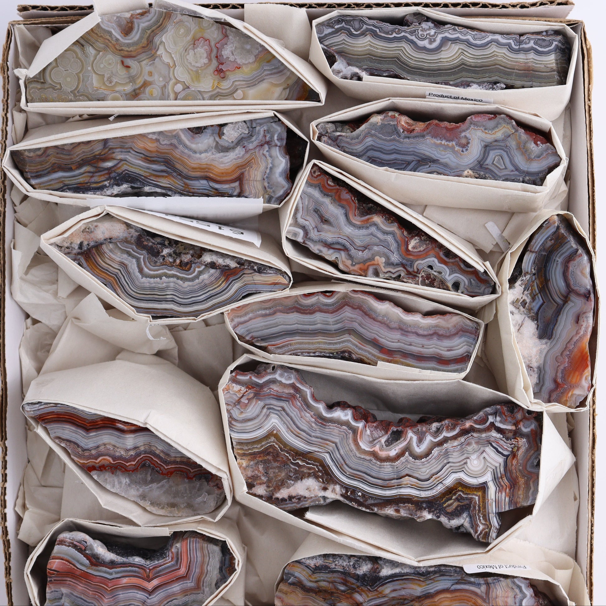 Crazy Lace Agate Flat of 14 - Expert Wholesale and Supplier of Wholesale Crystals & Bulk Gemstones, ["Crazy Lace Agate","Mexico"]