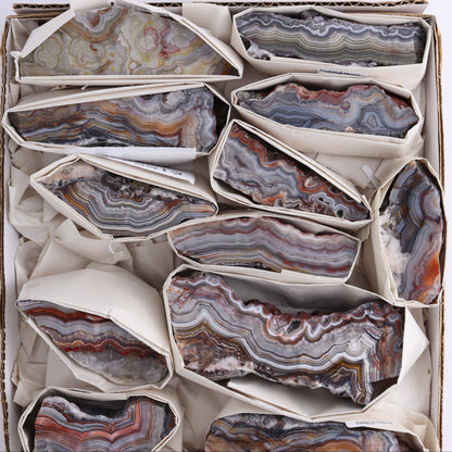 Crazy Lace Agate Flat of 14 - Expert Wholesale and Supplier of Wholesale Crystals & Bulk Gemstones, ["Crazy Lace Agate","Mexico"]