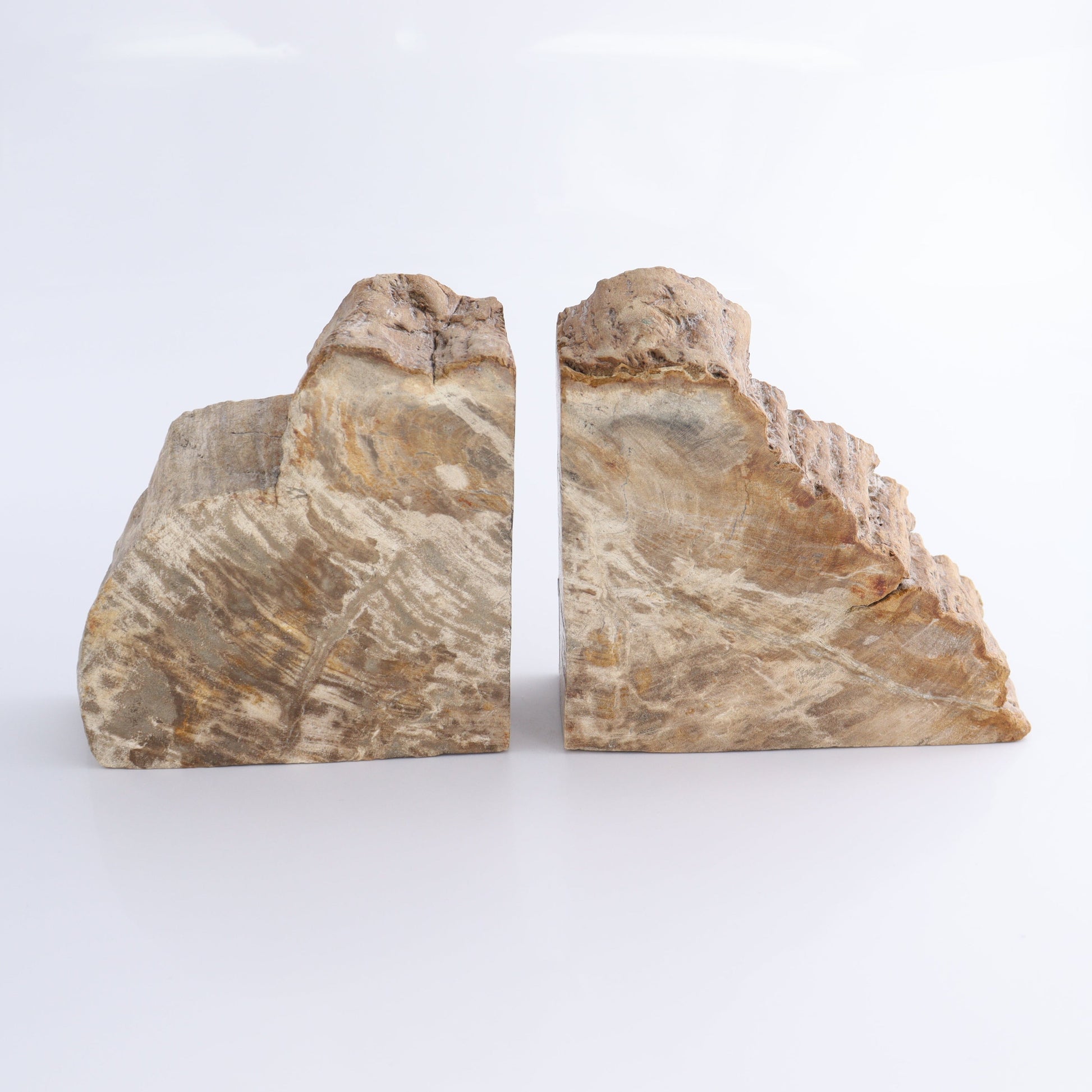 Bookends Petrified Wood - Expert Wholesale and Supplier of Wholesale Crystals & Bulk Gemstones, ["Bookends","Indonesia","Petrified Wood"]