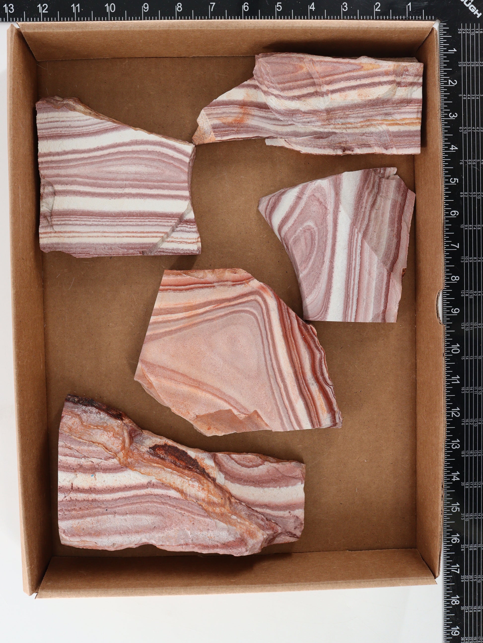 Rhyolite Slices and Slabs Set of 5 - Expert Supplier of Wholesale Crystals & Bulk Gemstones