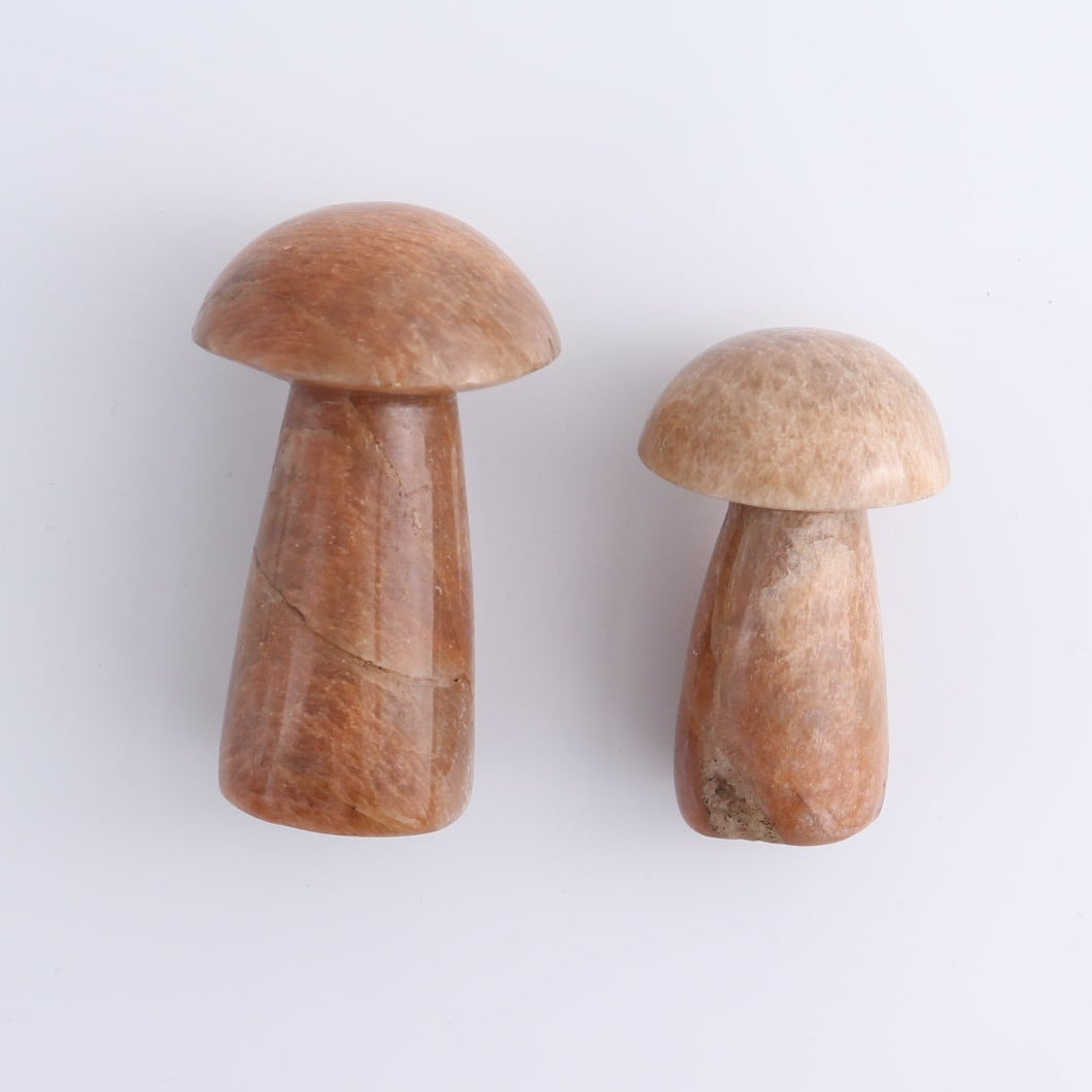 Peach Moonstone Mushrooms Set of 6